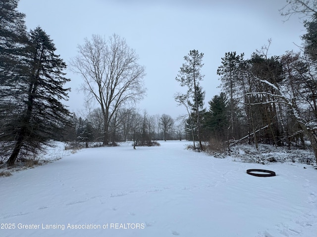 view of yard covered in snow