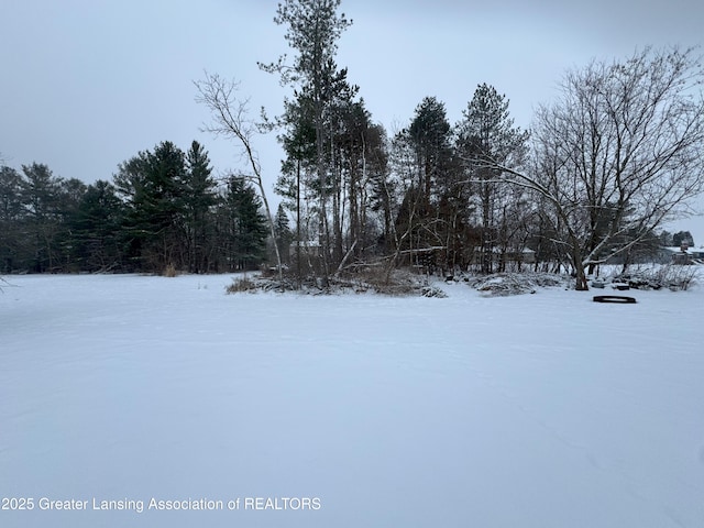 view of yard layered in snow