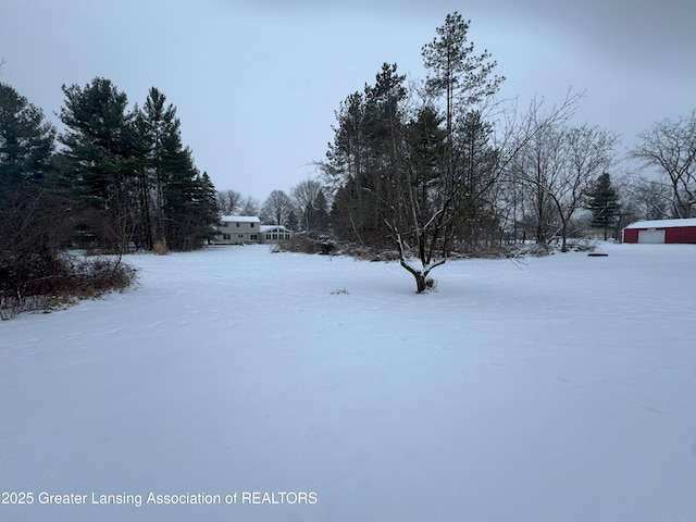 view of yard covered in snow