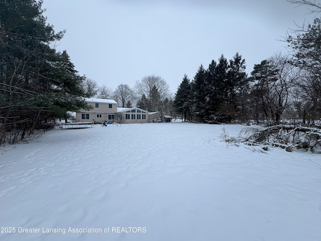 view of snowy yard