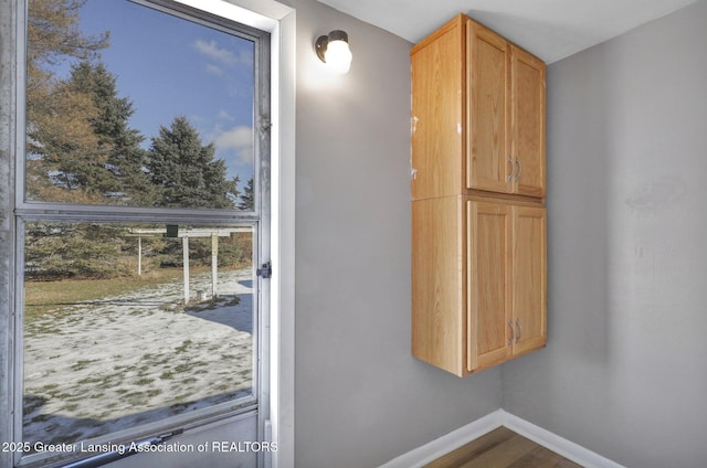 entryway with wood-type flooring