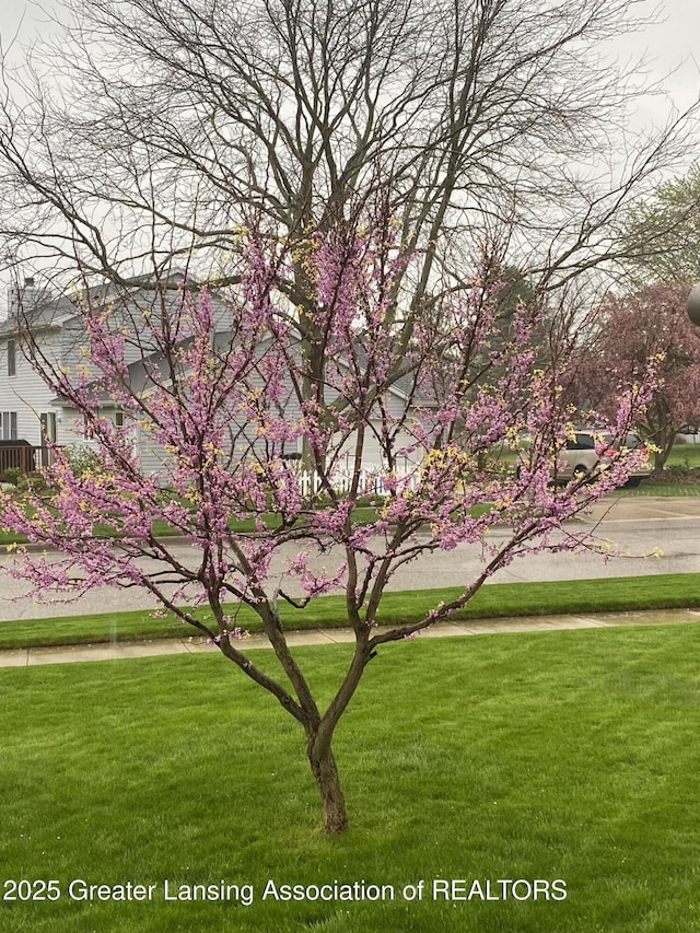 view of home's community with a lawn