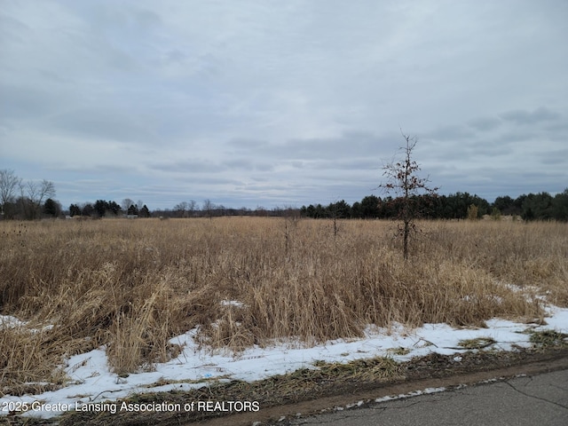 24246 N V Dr, Olivet, MI 49076 - photo 4