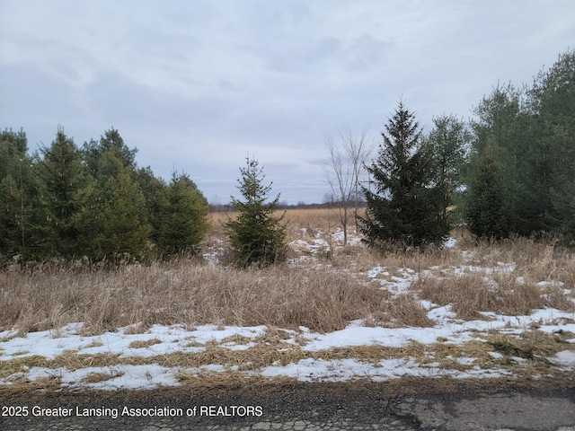 24246 N V Dr, Olivet, MI 49076 - photo 6