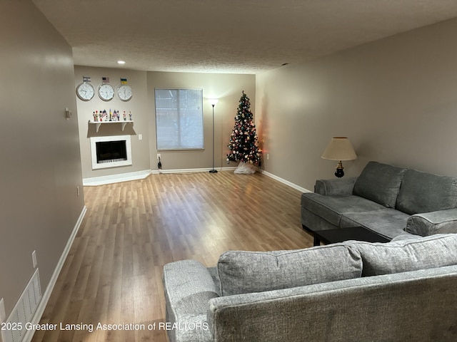 living room featuring wood-type flooring