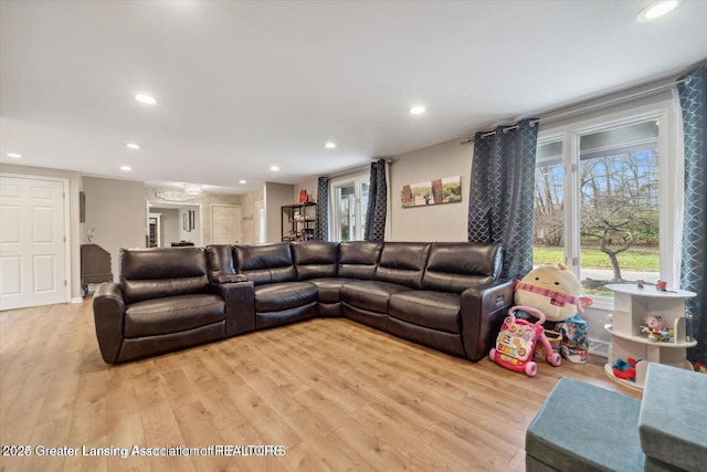 living room with a healthy amount of sunlight and light hardwood / wood-style flooring