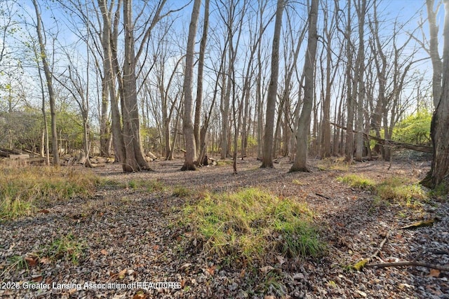 view of local wilderness