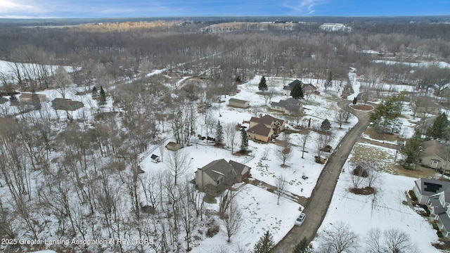 view of snowy aerial view