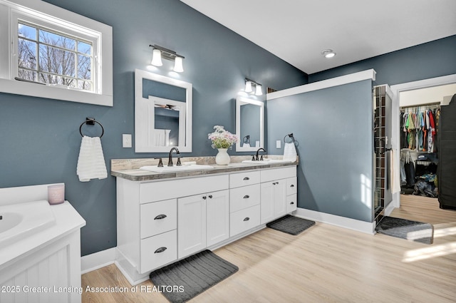 bathroom with vanity and hardwood / wood-style flooring