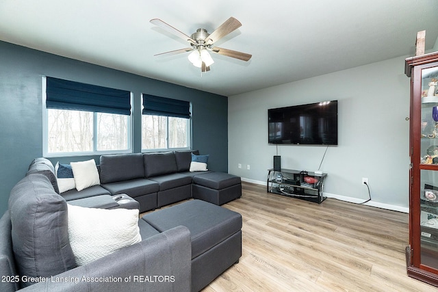 living room with ceiling fan and light wood-type flooring