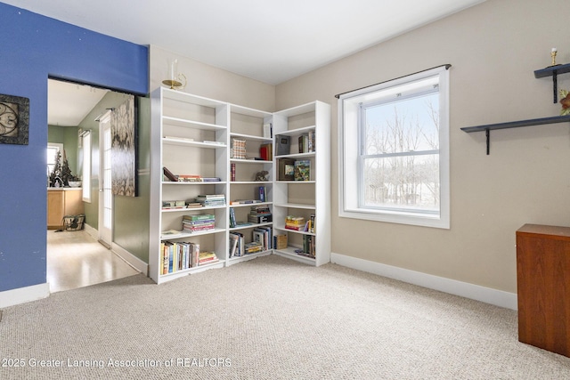 interior space featuring carpet