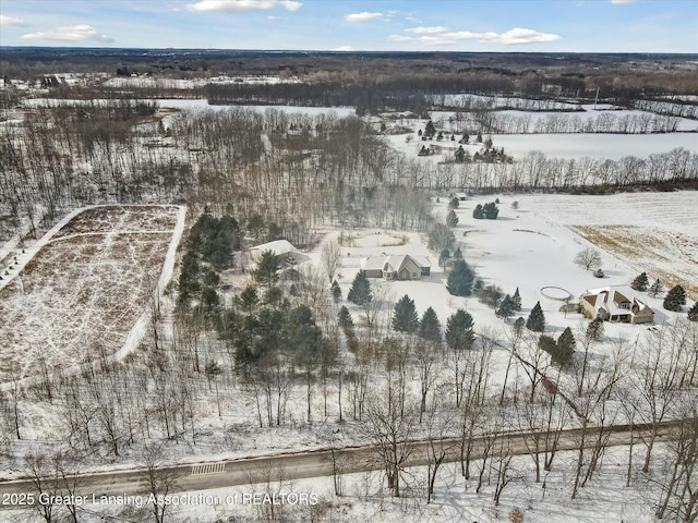 view of snowy aerial view