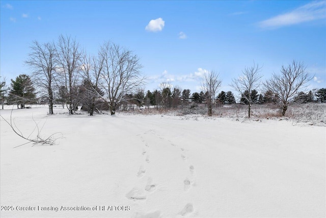 view of yard layered in snow