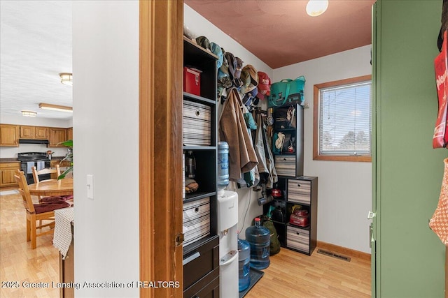 walk in closet featuring light hardwood / wood-style flooring