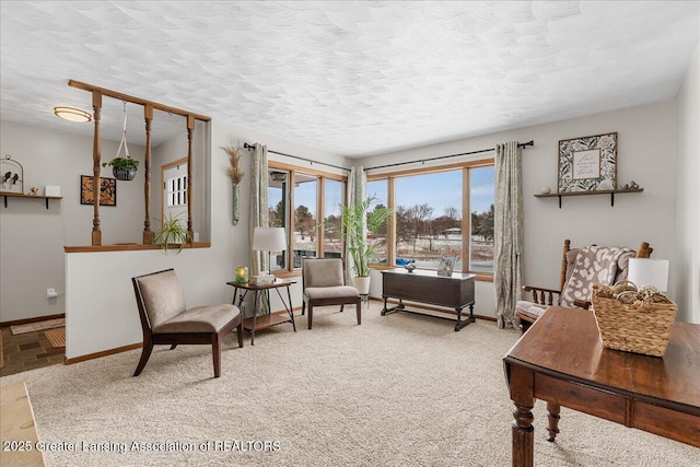 living area featuring carpet and a textured ceiling