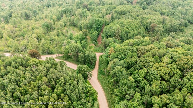 13505 7 Mile Rd, Evart, MI 49631 - photo 9