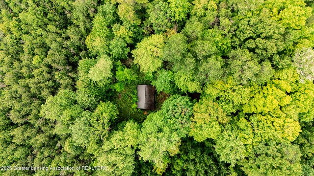 13505 7 Mile Rd, Evart, MI 49631 - photo 3