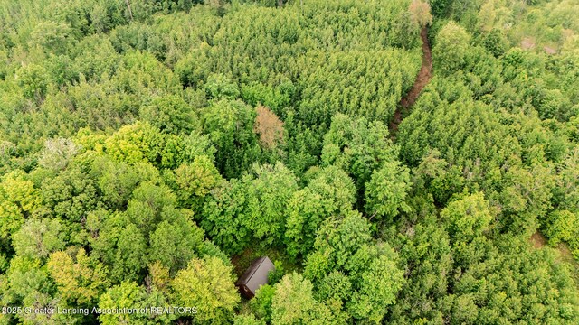 13505 7 Mile Rd, Evart, MI 49631 - photo 8