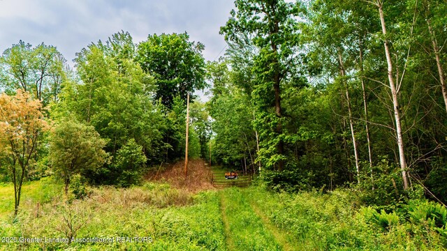 13505 7 Mile Rd, Evart, MI 49631 - photo 10