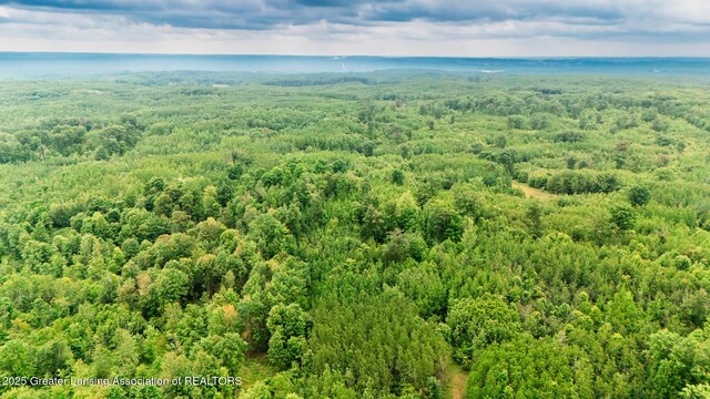 13505 7 Mile Rd, Evart, MI 49631 - photo 12