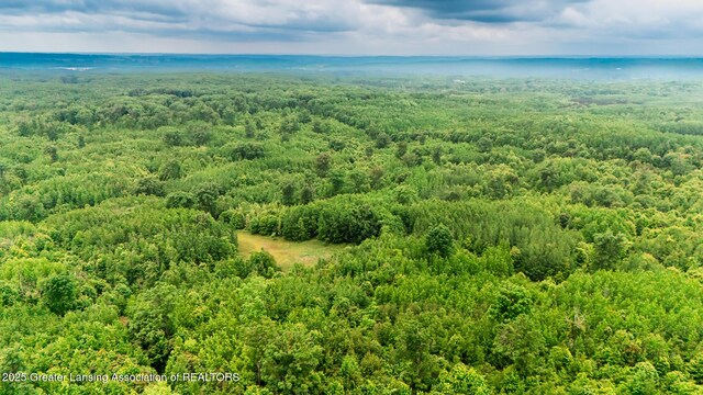 13505 7 Mile Rd, Evart, MI 49631 - photo 13