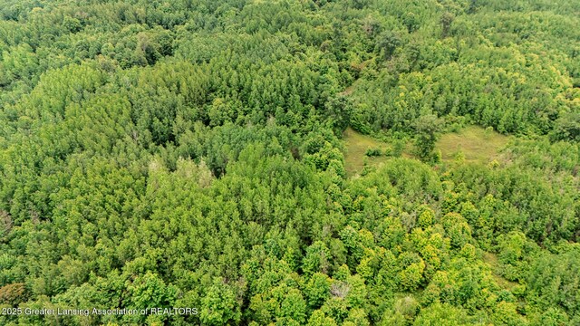 13505 7 Mile Rd, Evart, MI 49631 - photo 14