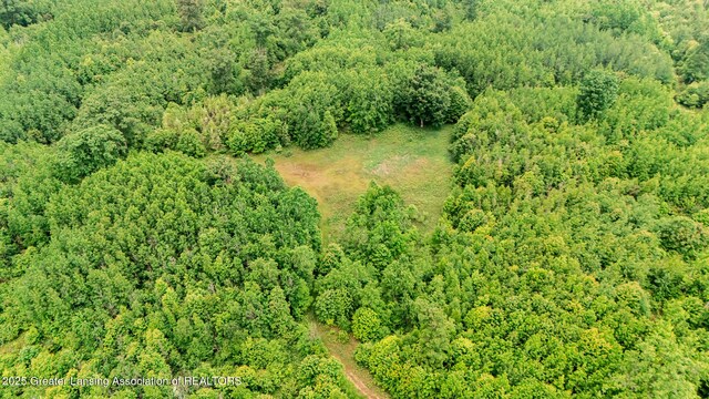 13505 7 Mile Rd, Evart, MI 49631 - photo 15