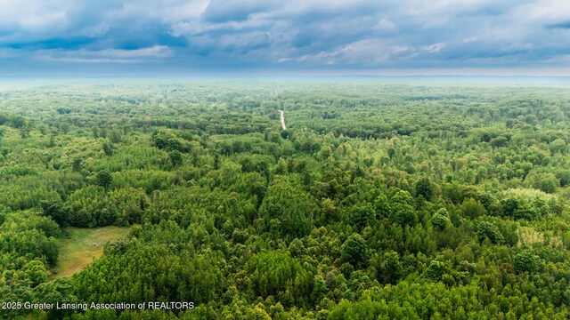 13505 7 Mile Rd, Evart, MI 49631 - photo 16