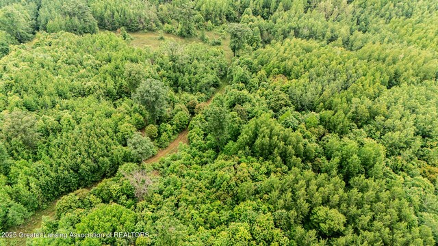 13505 7 Mile Rd, Evart, MI 49631 - photo 17