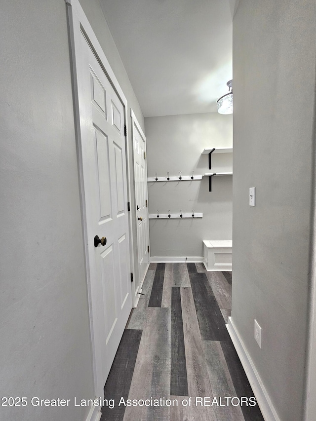 mudroom featuring dark wood-type flooring