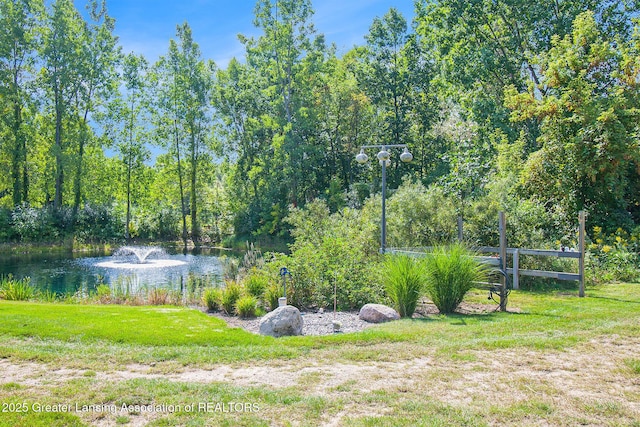8955 W Braden Rd, Haslett, MI 48840 - view of yard with a water view