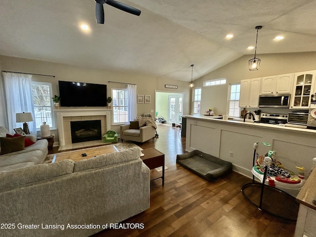 living room with a fireplace, a wealth of natural light, dark hardwood / wood-style floors, and vaulted ceiling