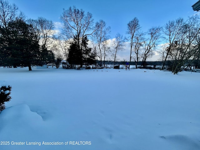 view of snowy yard