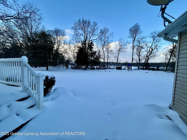 view of yard covered in snow