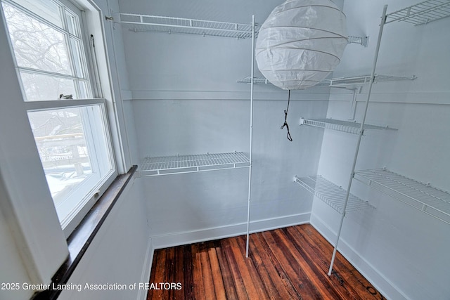 walk in closet with dark hardwood / wood-style flooring