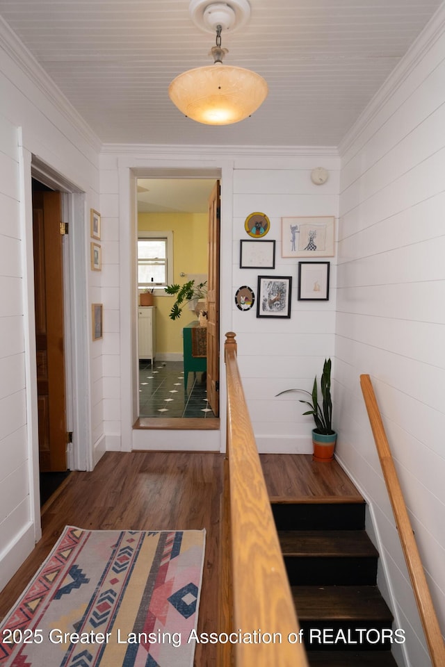 7761 W Herbison Rd, Dewitt, MI 48820 - hall featuring ornamental molding, dark wood-type flooring, and wooden walls