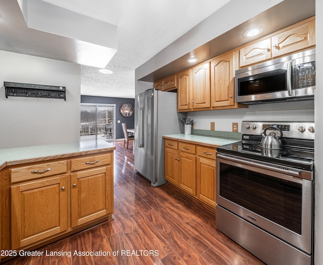 kitchen with a textured ceiling, stainless steel appliances, and dark hardwood / wood-style flooring