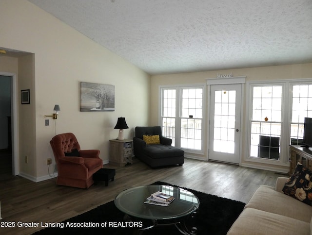 living room with a textured ceiling, vaulted ceiling, and wood finished floors