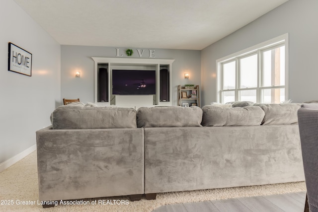 living room with baseboards