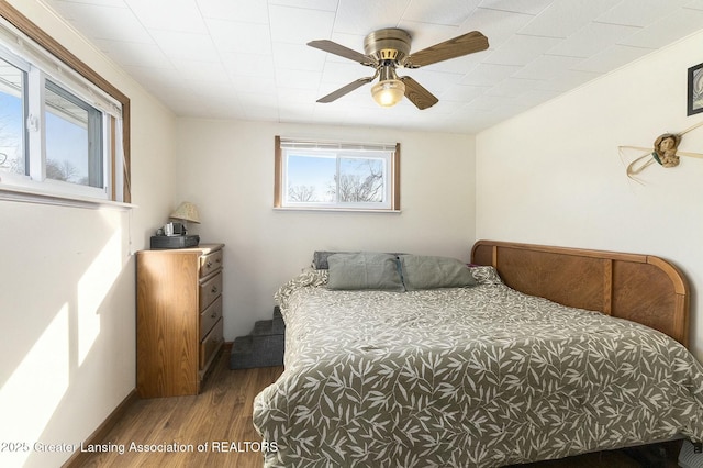 bedroom with multiple windows, a ceiling fan, and wood finished floors