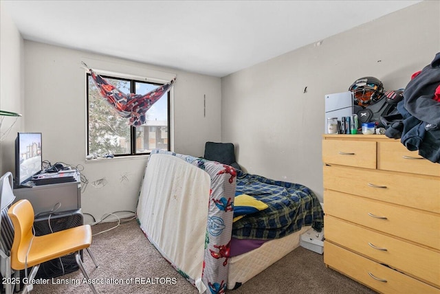 bedroom featuring dark carpet