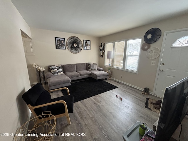 living area with a wealth of natural light, baseboards, and wood finished floors