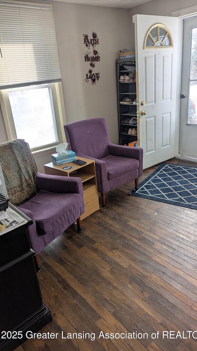 interior space with dark wood-type flooring and a wealth of natural light