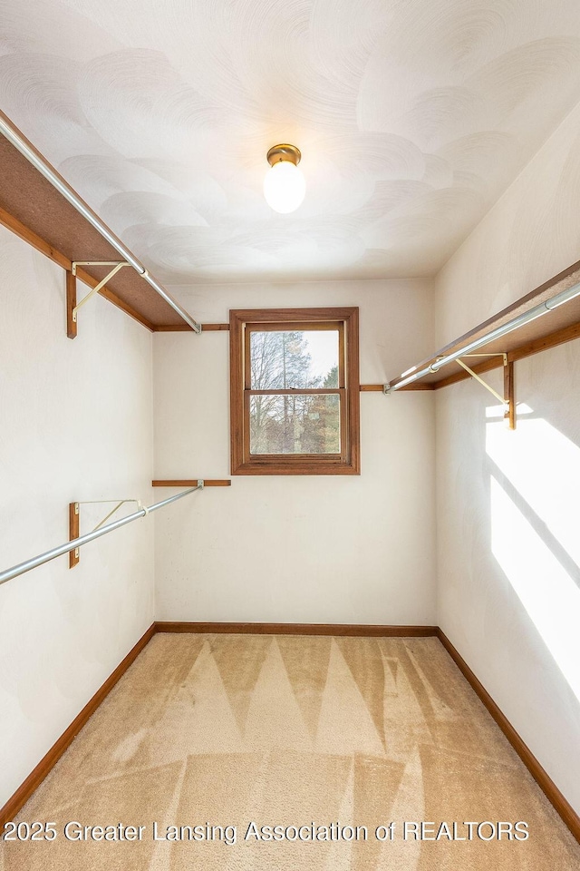 walk in closet with carpet floors