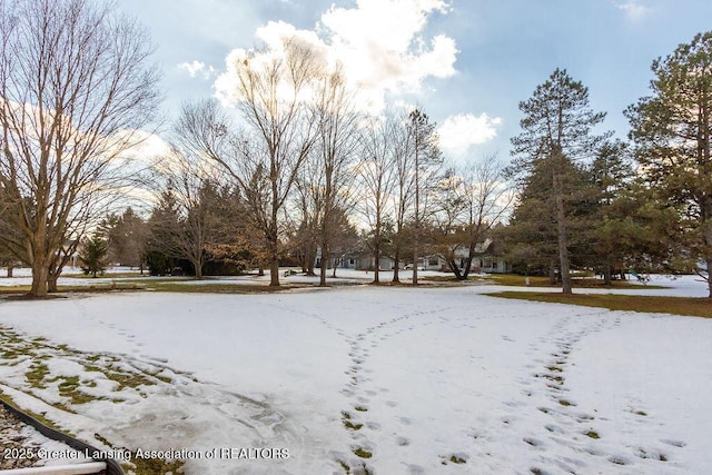 view of snowy yard