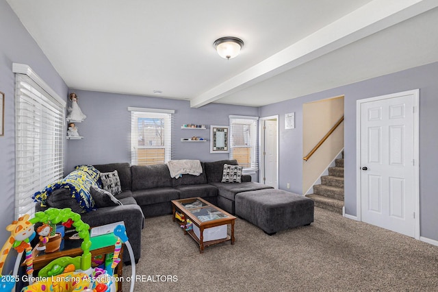 carpeted living room featuring beamed ceiling, stairway, and baseboards