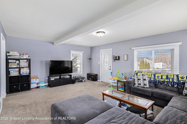 living area featuring carpet, baseboards, and beam ceiling