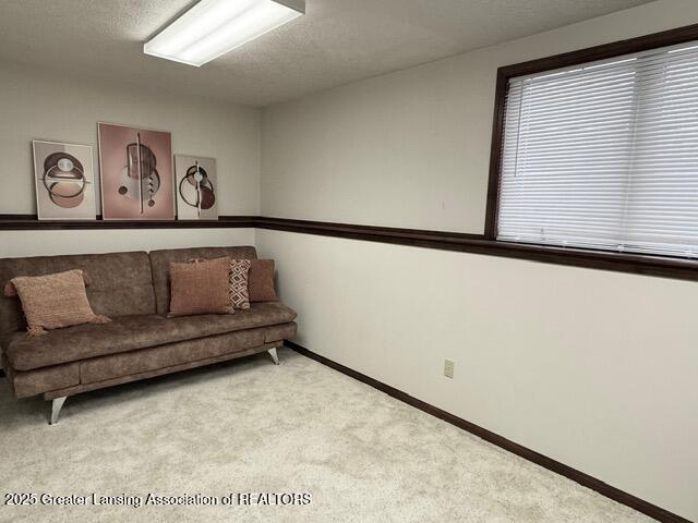 living room featuring carpet, baseboards, and a textured ceiling