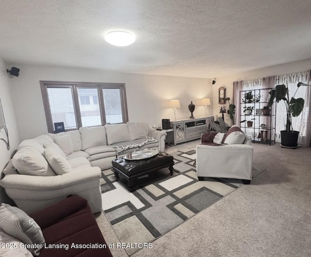 living area with carpet flooring and a textured ceiling