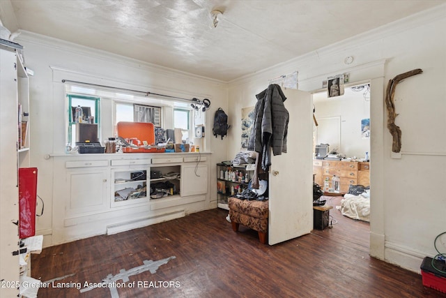 interior space with ornamental molding and dark wood finished floors